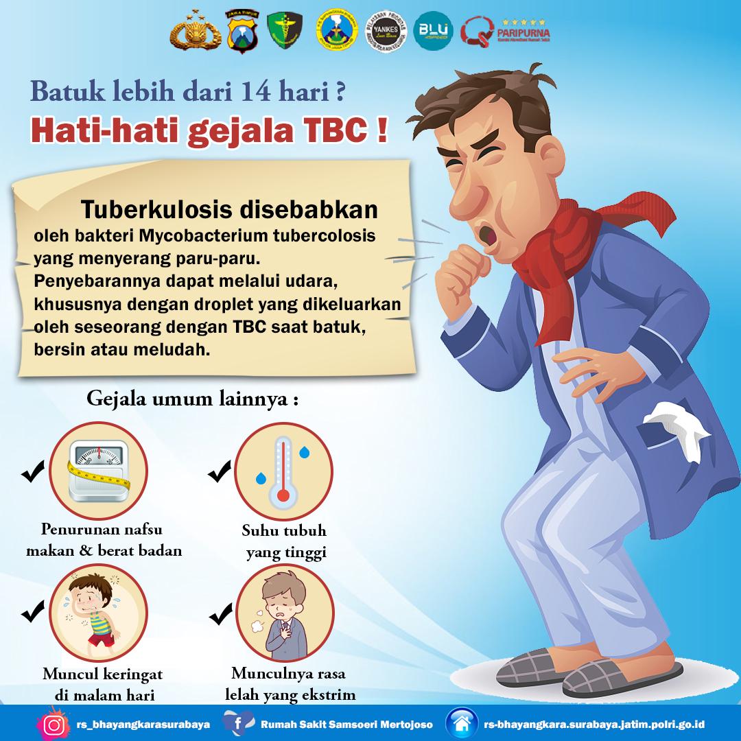 Free Download 400 Gambar Hati Dan Keterangannya Terbaik Info Gambar